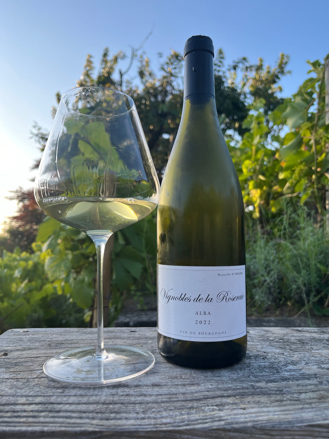 Domaine de la Roseraie - Alba - Bourgogne Blanc 2023