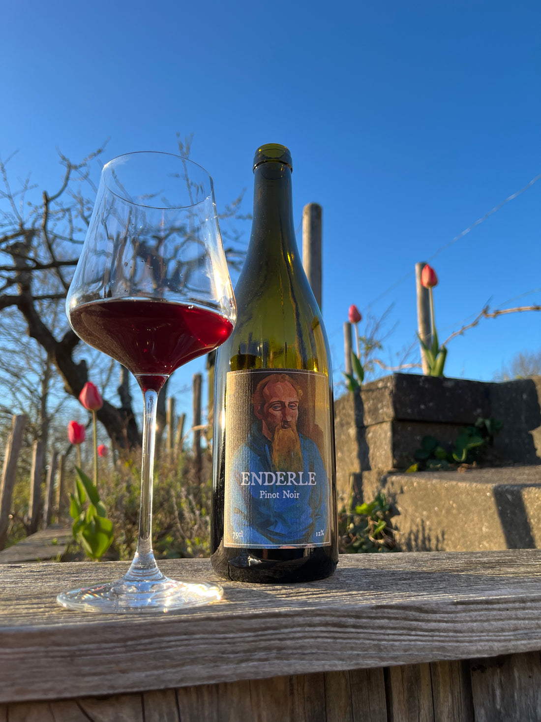 Sven Enderle Pinot Noir 2022