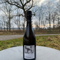 Etienne Calsac Les Rocheforts (Base 2023) – Blanc de Blancs - Extra Brut