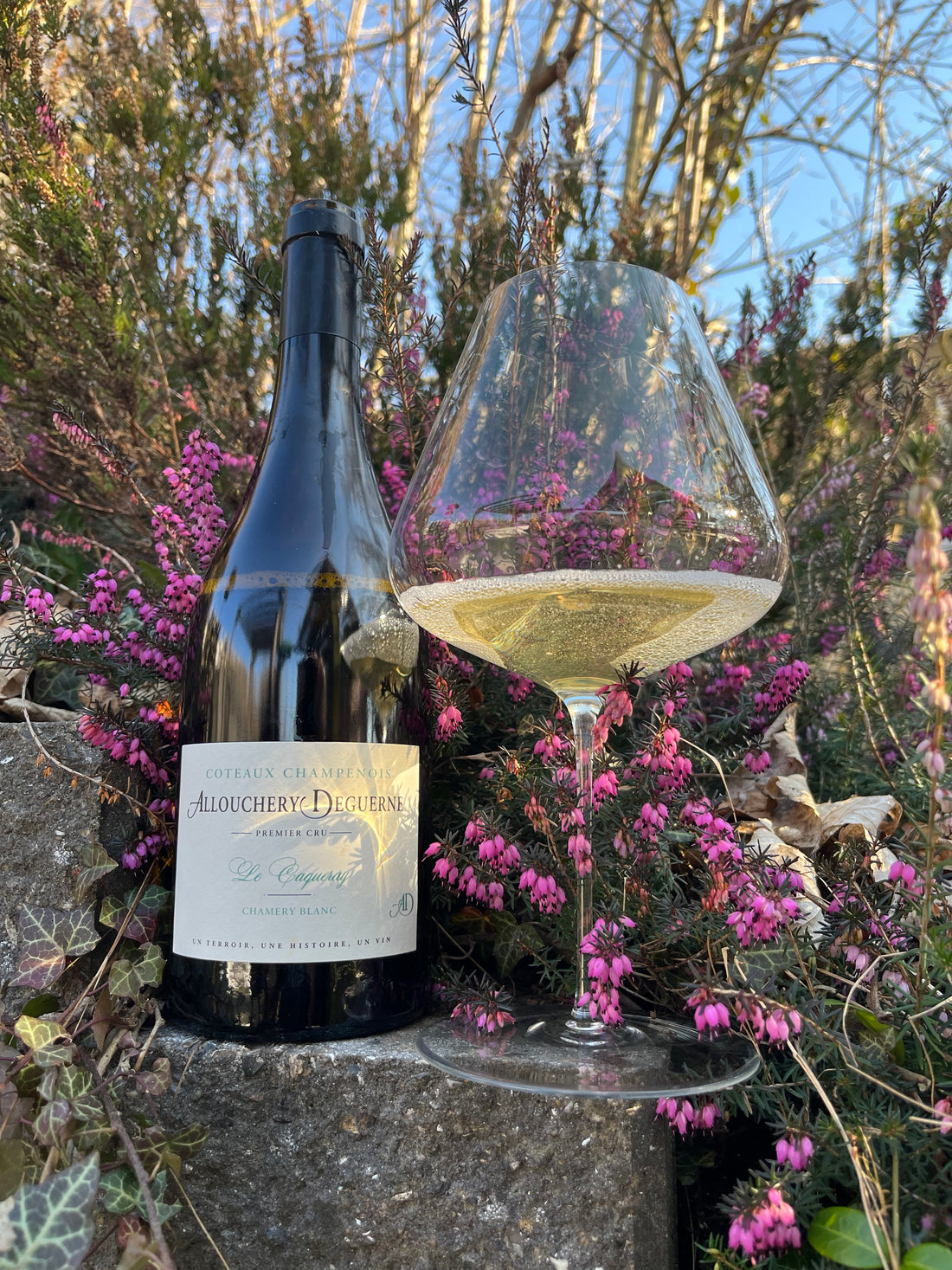 Allouchery-Deguerne Côteaux Champenois Blanc 1er cru - Le Caquerey 2023