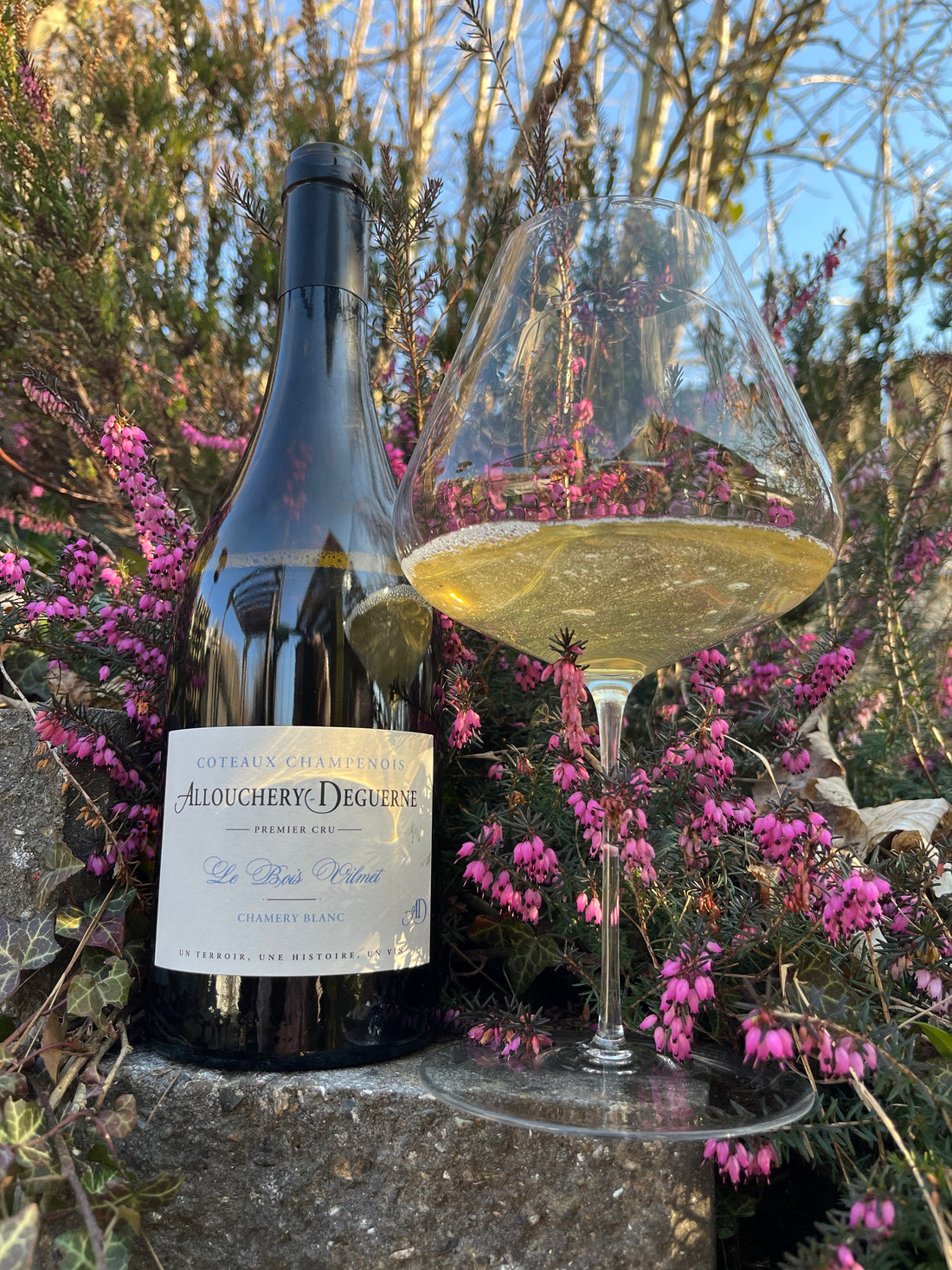 Allouchery-Deguerne Côteaux Champenois Blanc 1er cru - Le Bois Vilmet 2023