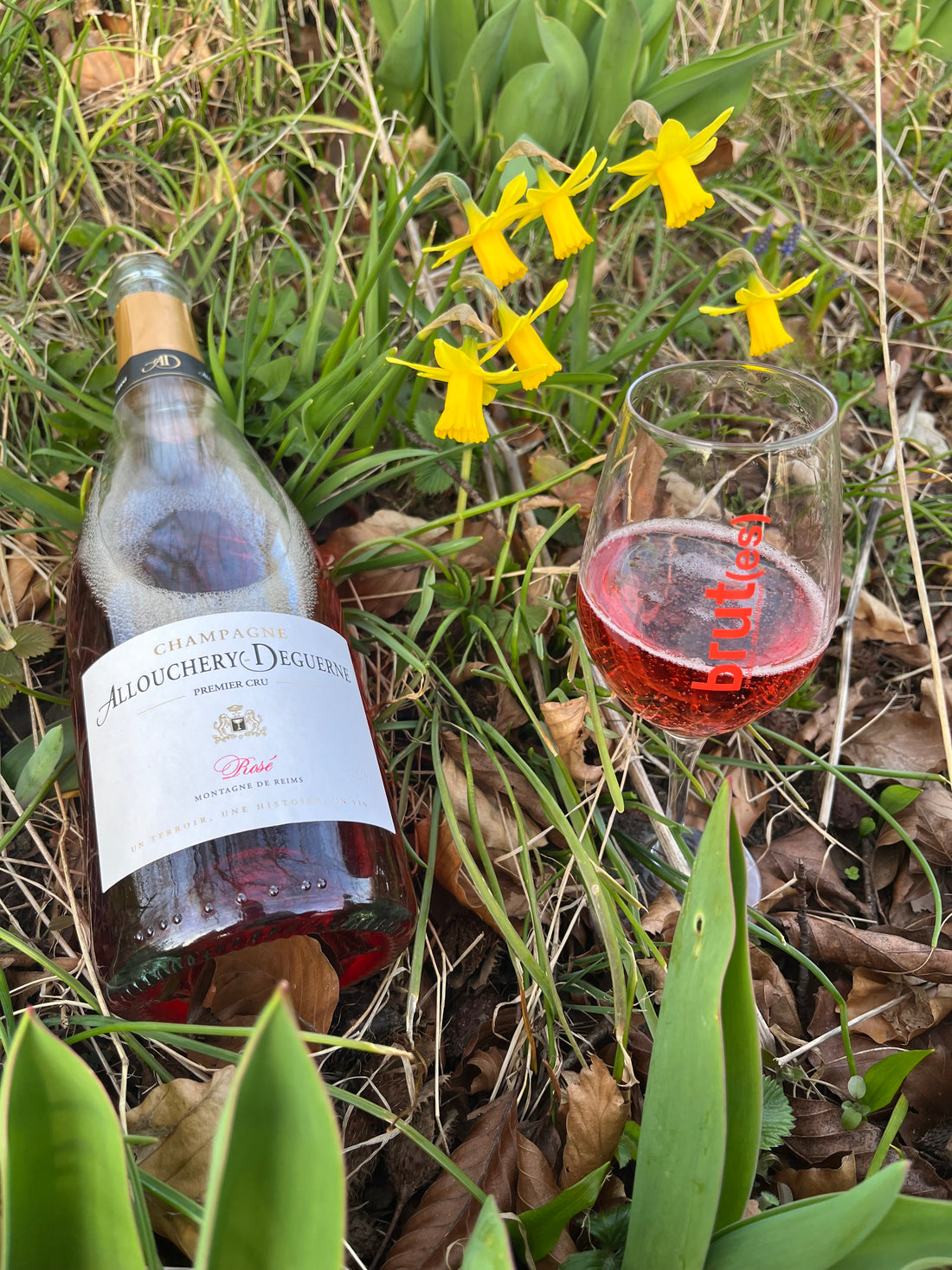 Allouchery-Deguerne Rosé 2022 - Brut