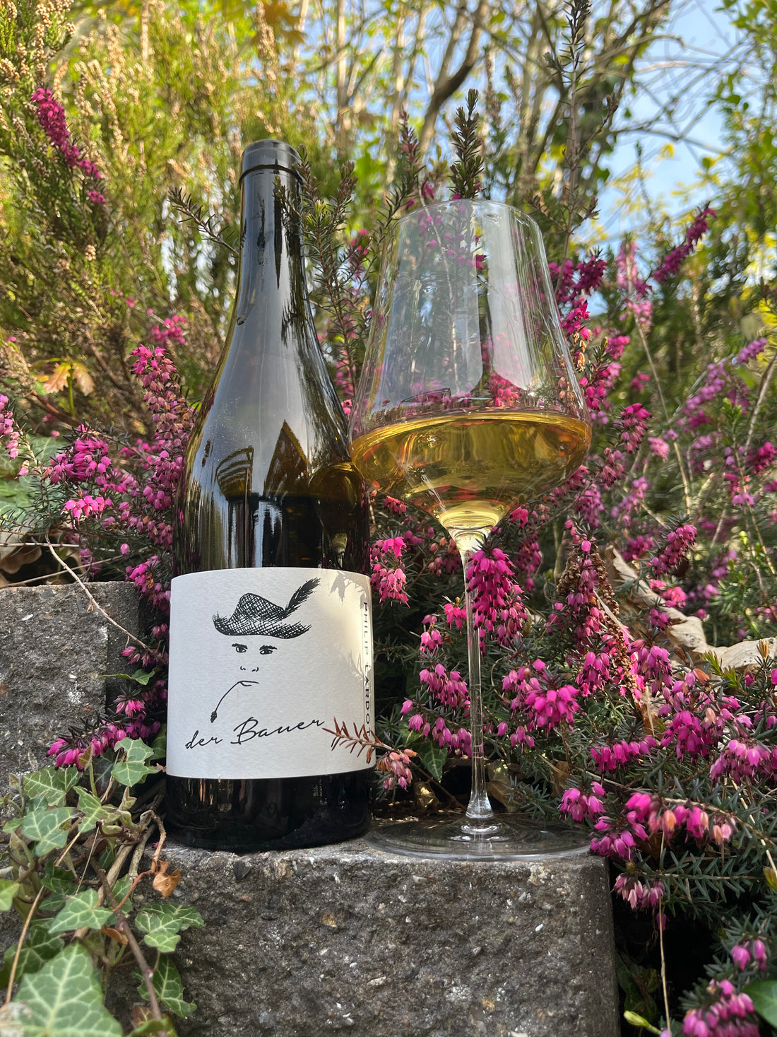 Philip Lardot Riesling - Der Bauer - 2022