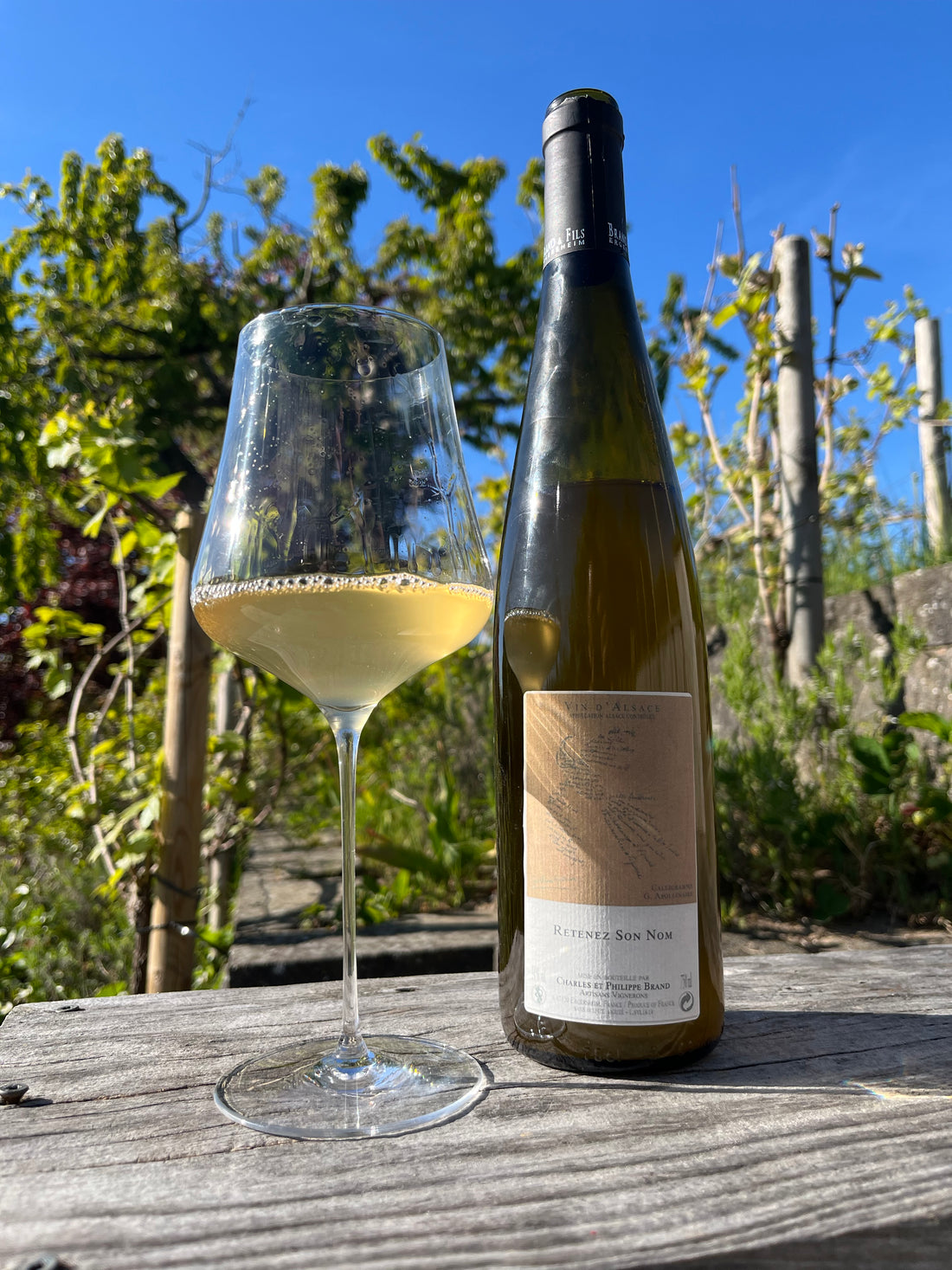 Domaine Brand Retenez Son Nom 2022/2023