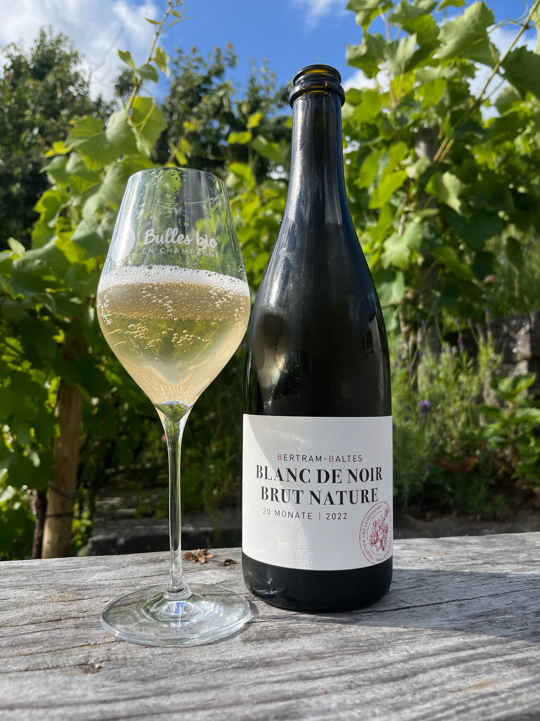 Weingut Bertram-Baltes - Blanc de Noir Brut Nature 2022