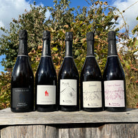 Antoine Bouvet - Smagekasse - 5 flasker