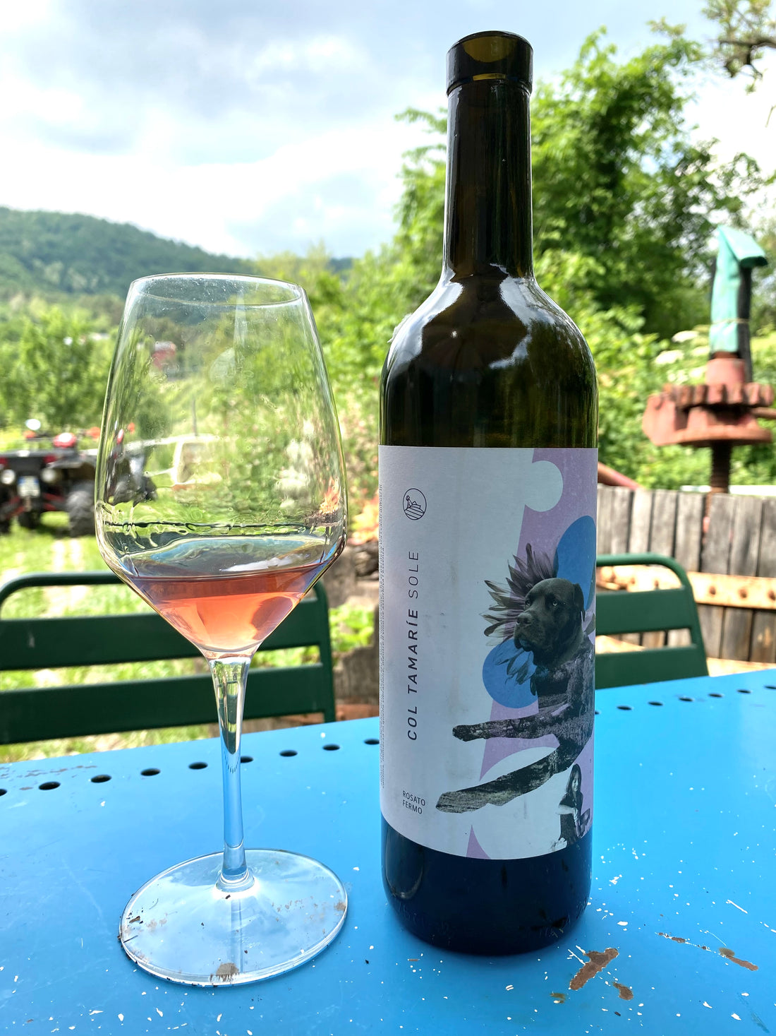 Col Tamarie - Sole Rosato 2023