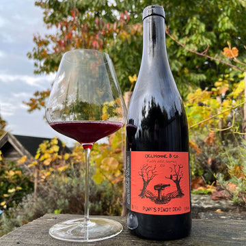 Domaine Delhomme & Co Punk’s Pinot Dead 2022