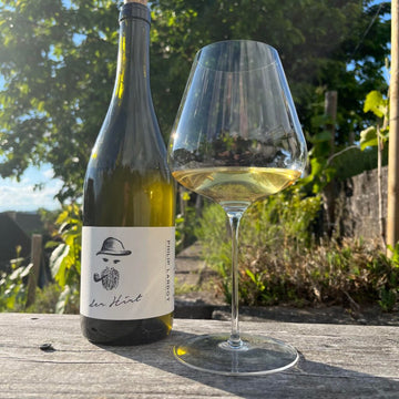 Philip Lardot Riesling der Hirt 2021