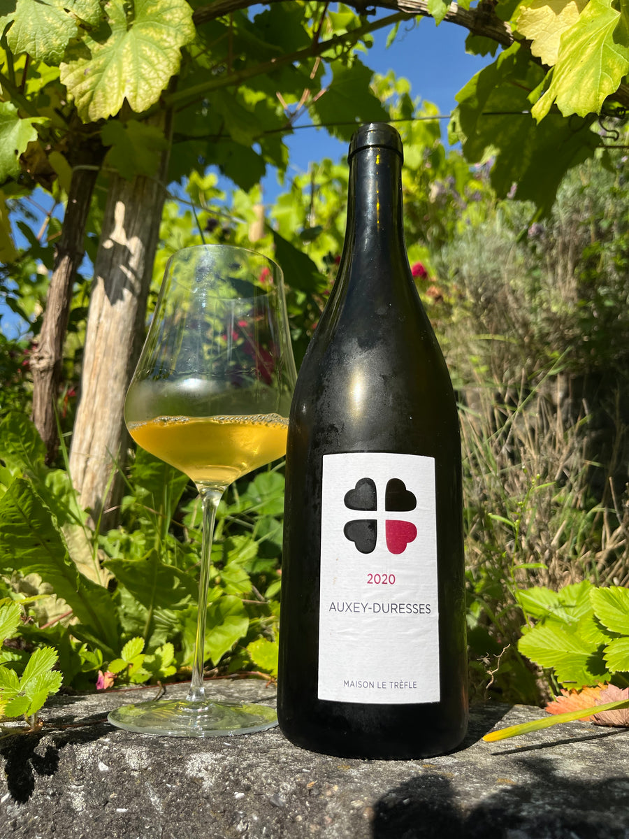 Domaine de la Roseraie - Auxey Duresses Blanc 2020