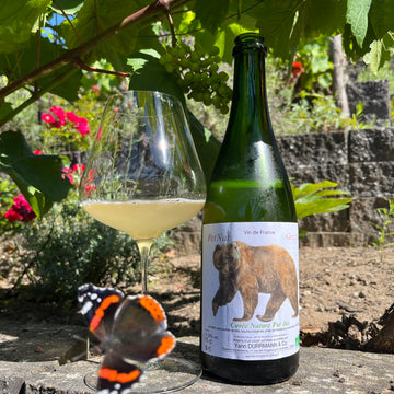 Yann Durrmann PetNat Grizzling Nature 2023