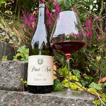 Enderle & Moll Pinot Noir 2023