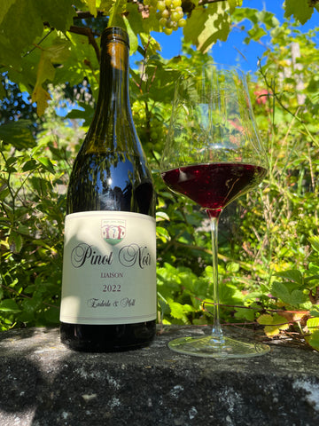 Enderle & Moll Pinot Noir Liaison 2021