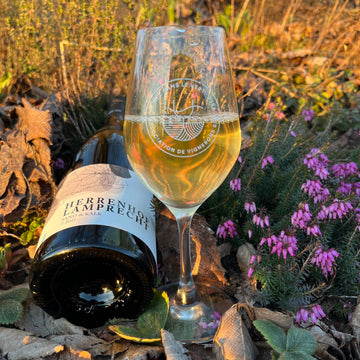 Herrenhof Lamprecht Sand & Kalk Weissburgunder 2023