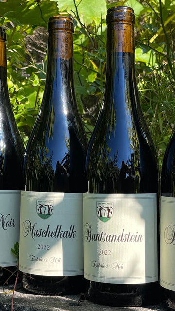 Enderle & Moll Pinot Noir - Smagekasse 6 fl. - 3x Buntsandstein & 3x Muschelkalk - 2023