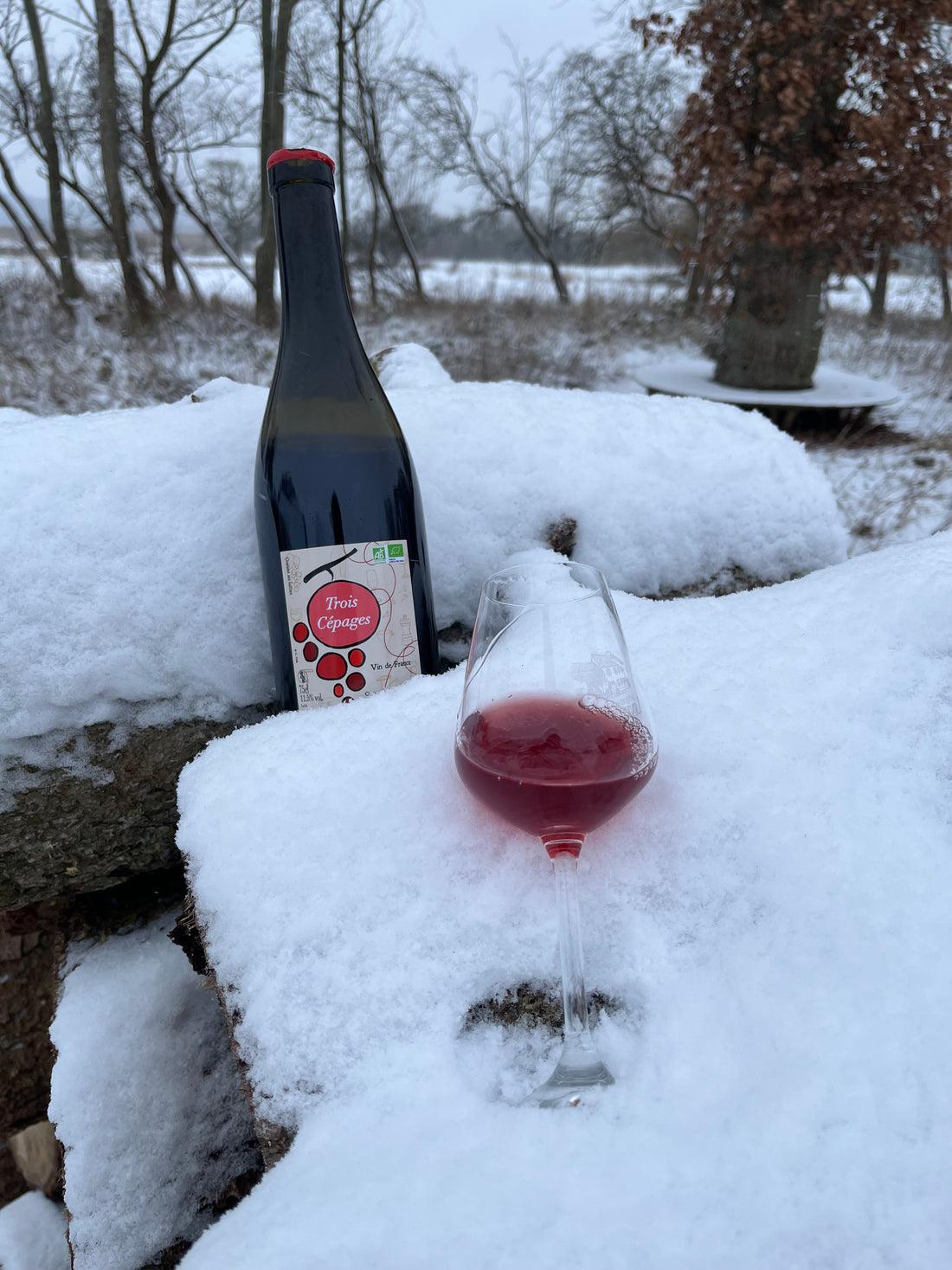 Christelle et Gilles Wicky - Trois Cépages - 2024