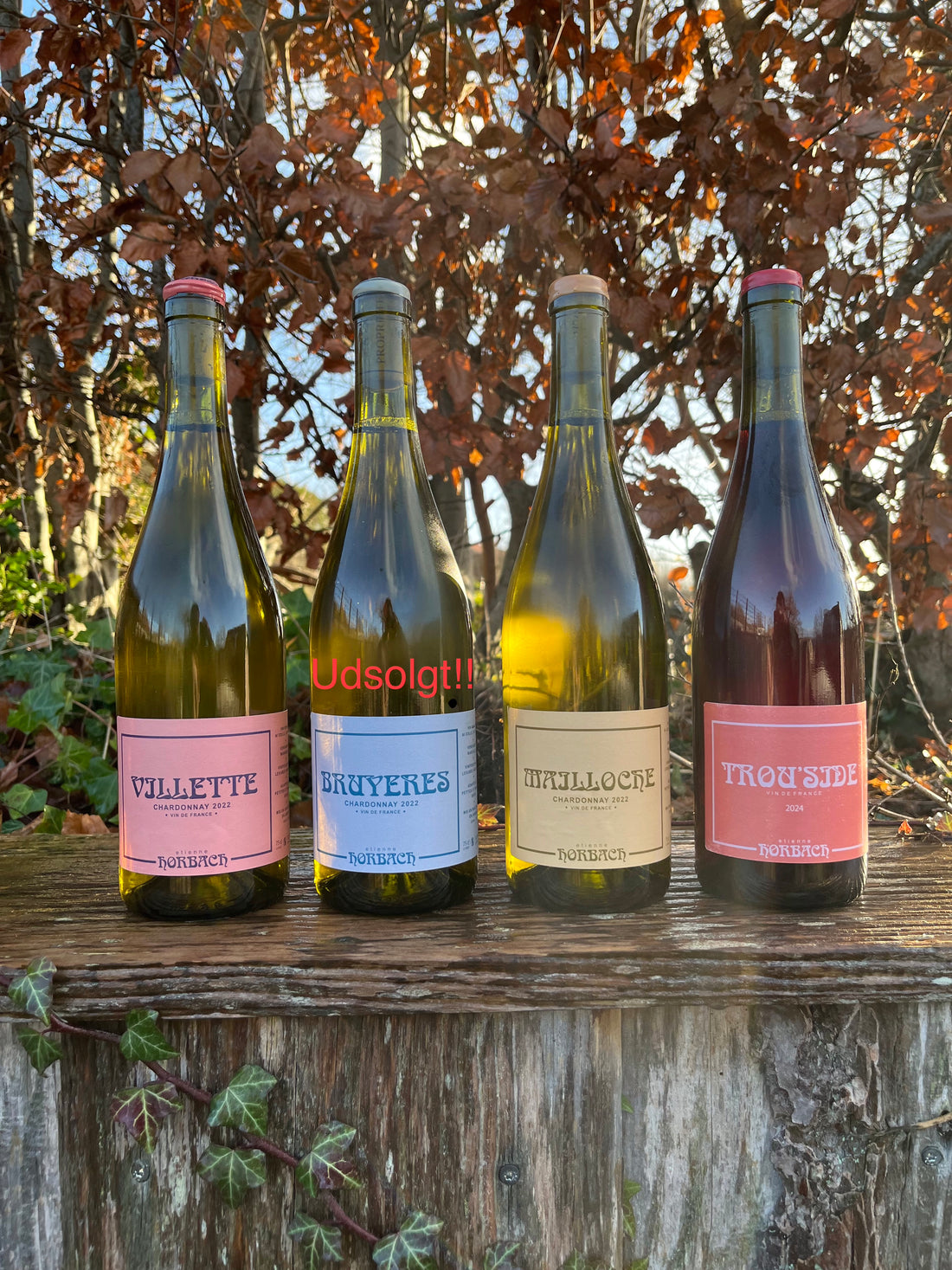 Etienne Horbach - Smagekasse - 6 flasker