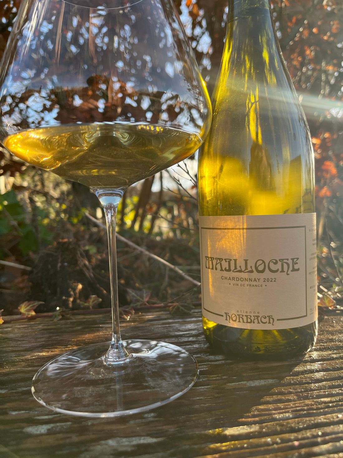 Etienne Horbach - Mailloche - Chardonnay - 2022