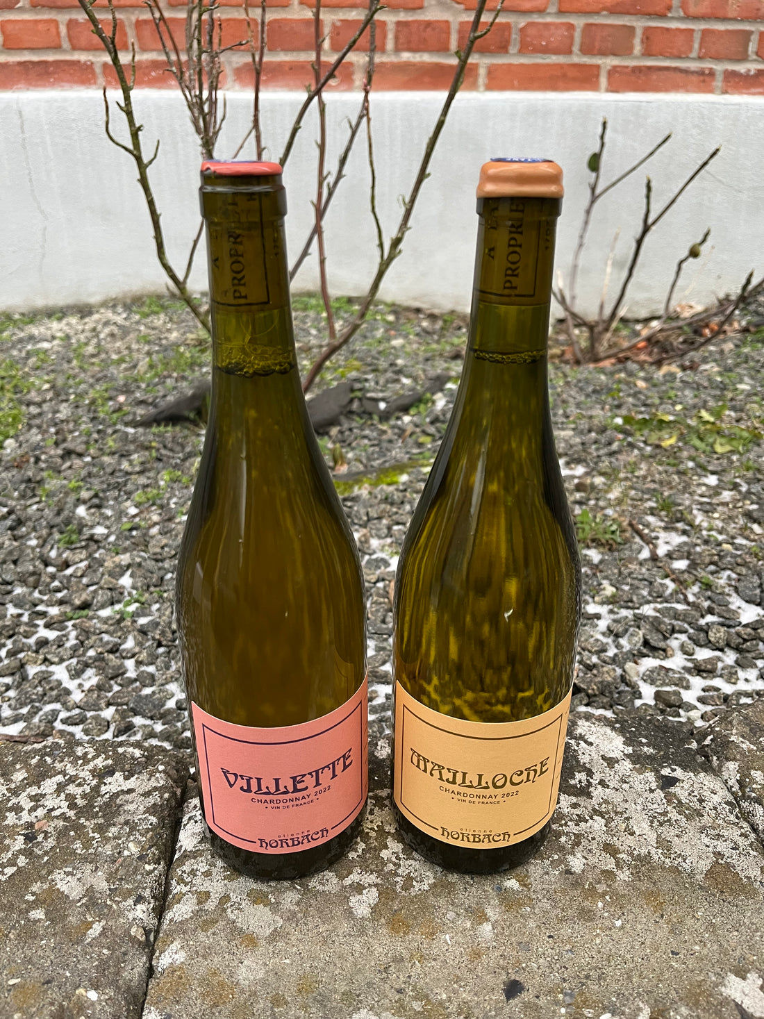 Etienne Horbach - Smagekasse - 6 flasker - Hvidvin