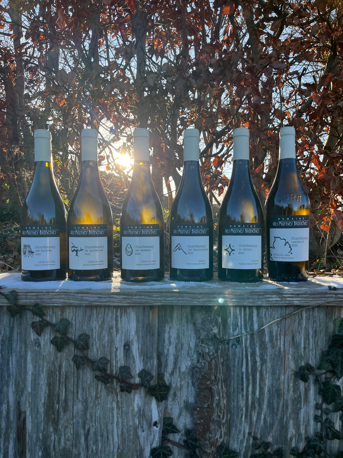 Domaine des Marnes Blanches - Chardonnay - Smagekasse - 2022-2024