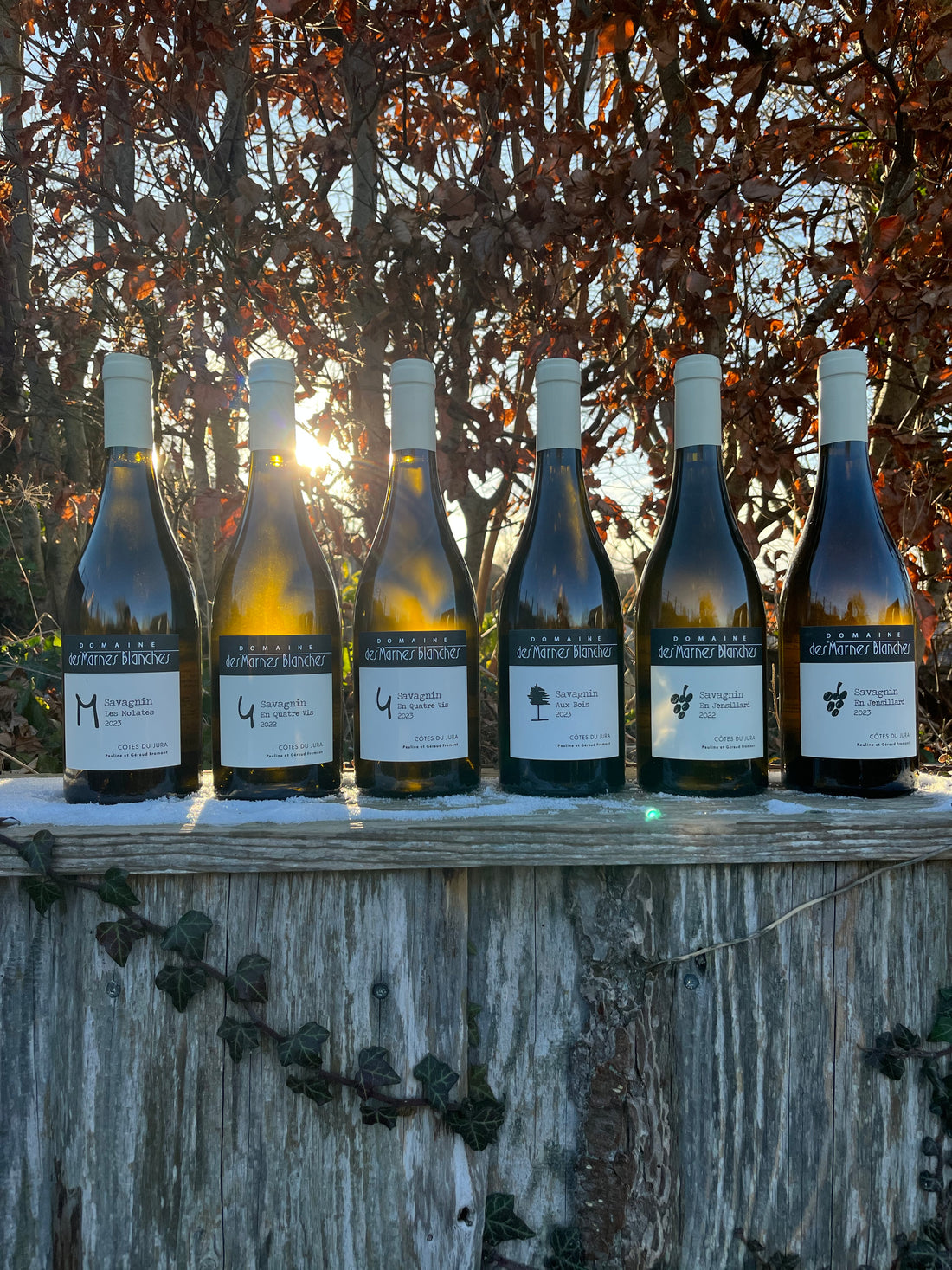 Domaine des Marnes Blanches - Savagnin-smagekasse - 6 flasker - 2026 Release