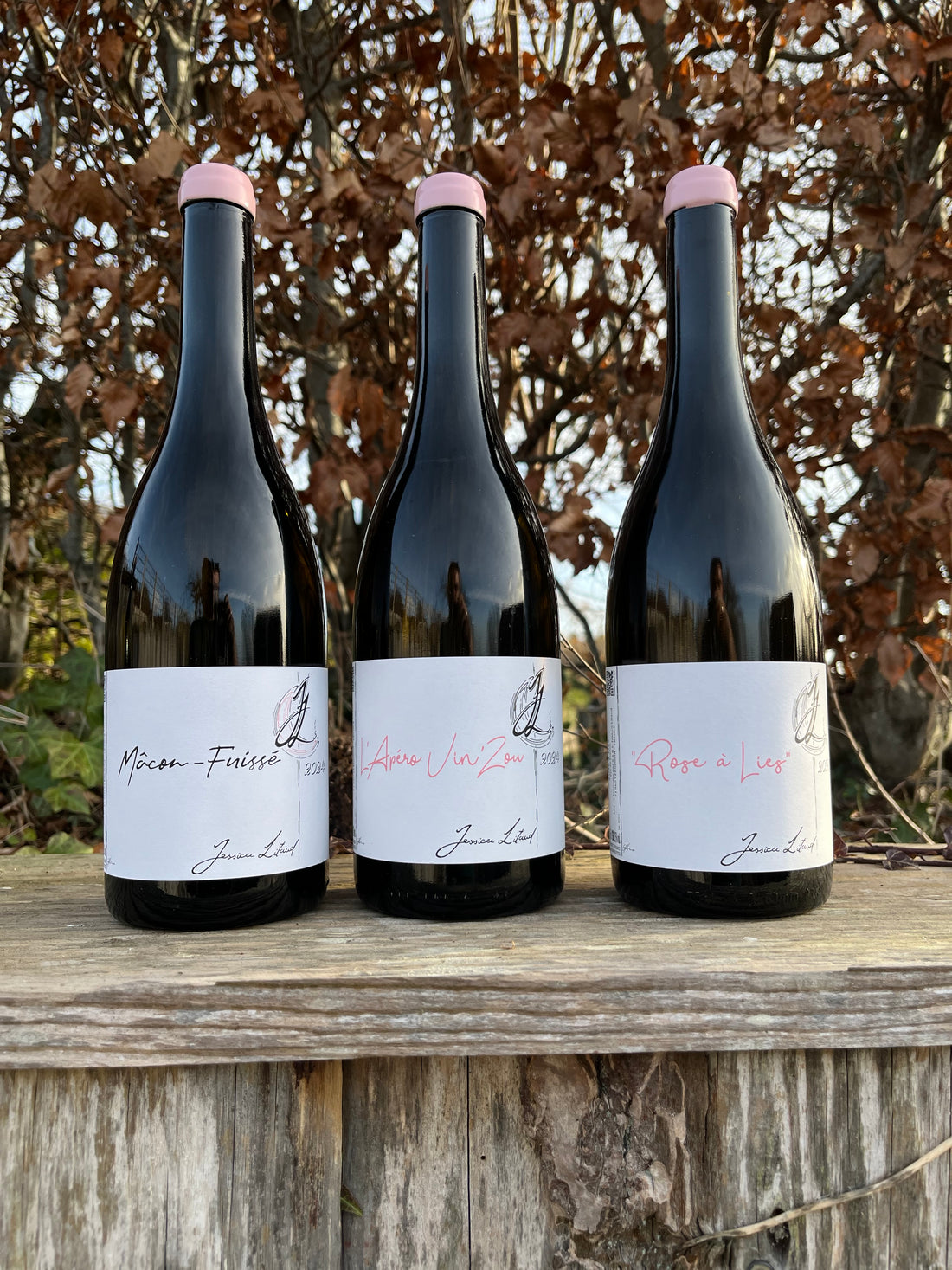 Jessica Litaud - Alle Négoce - 6 stk. smagekasse - 2023/2024