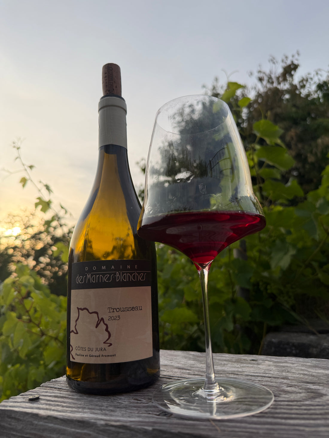 Domaine des Marnes Blanches - Trousseau 2025
