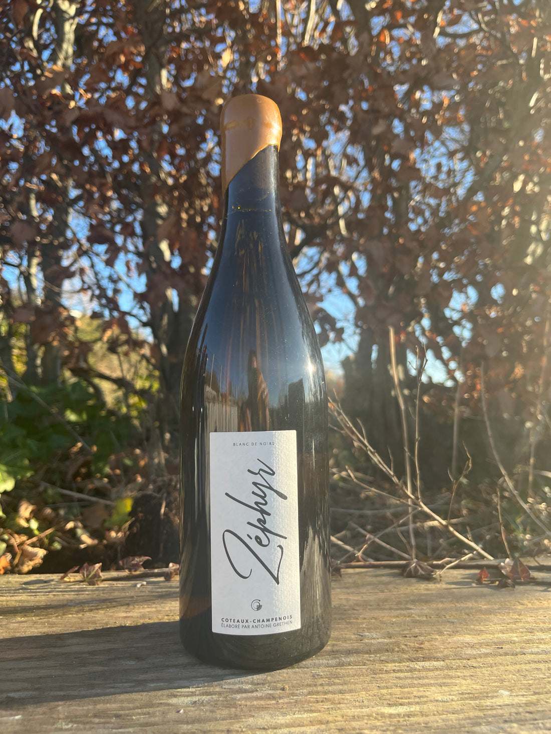Antoine Grethen – Zéphyr – Coteaux Champenois Blanc 2022