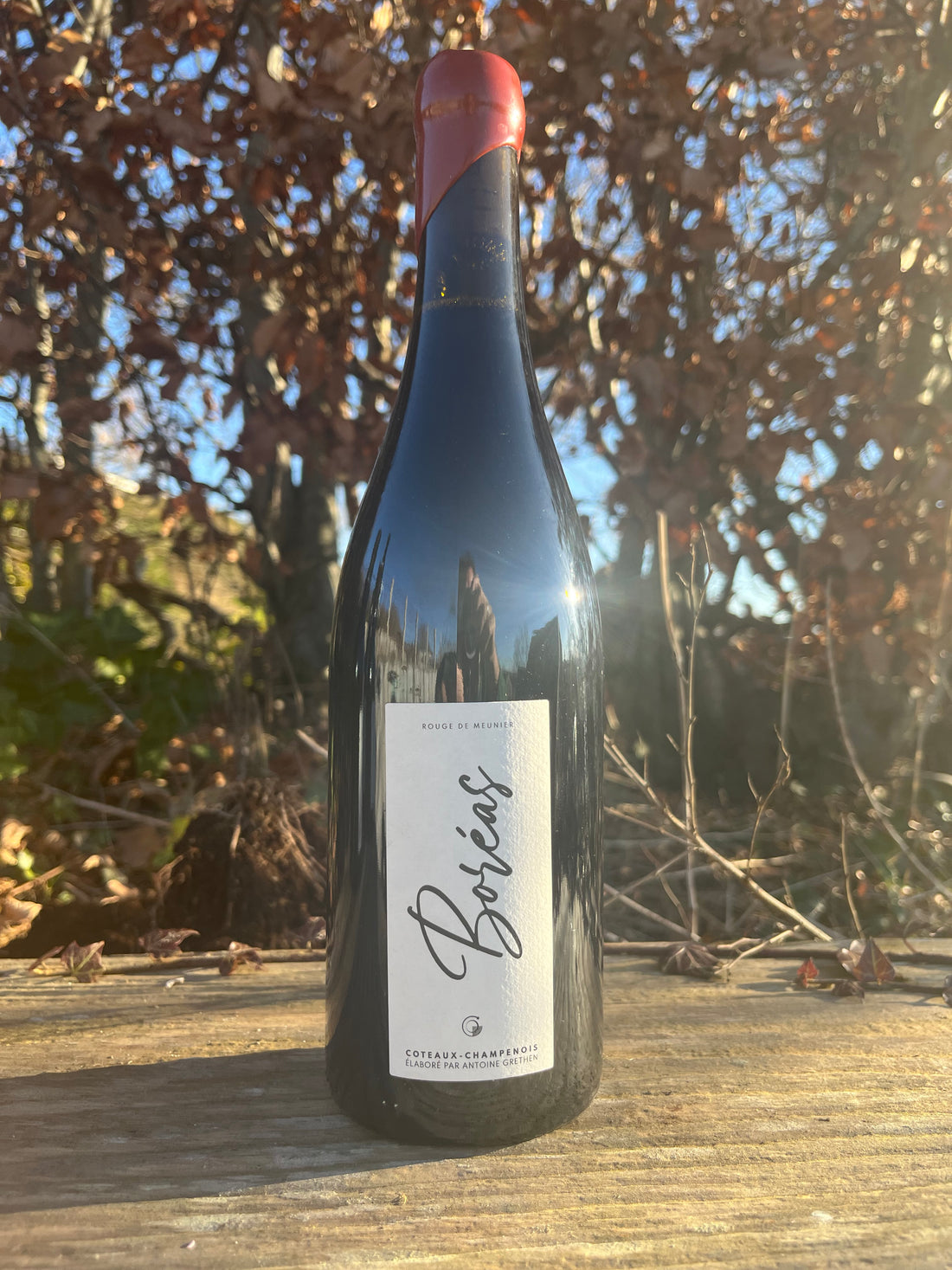 Antoine Grethen – Boréas – Coteaux Champenois Rouge 2022