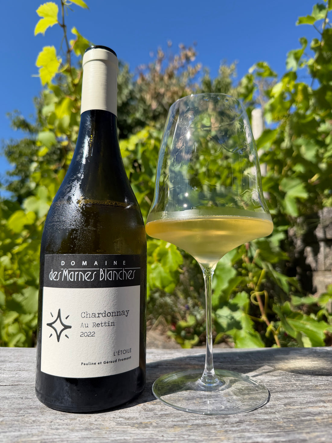 Domaine des Marnes Blanches - Chardonnay Au Rettin 2023