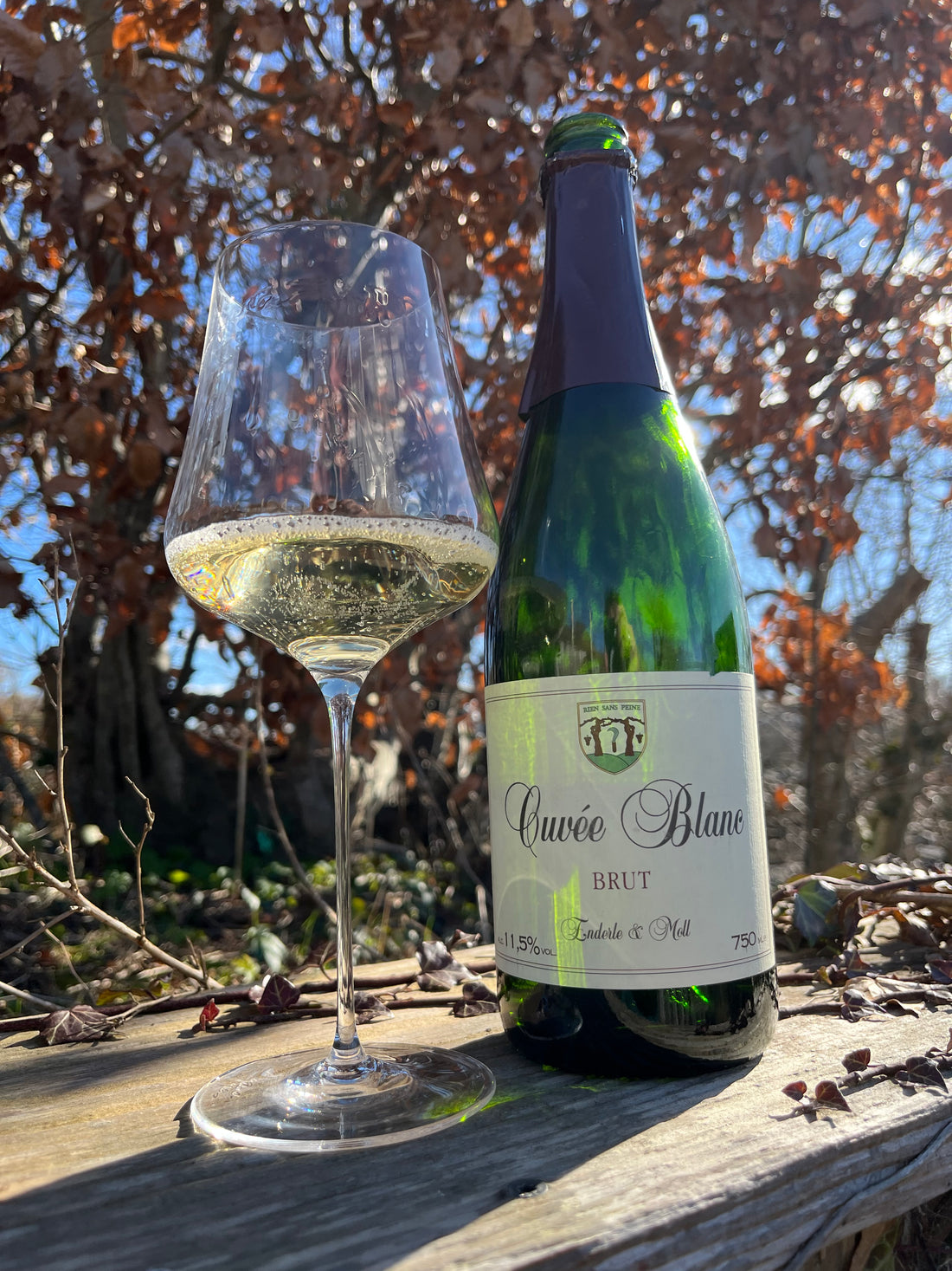 Enderle & Moll Cuvée Blanc - Brut - 2022