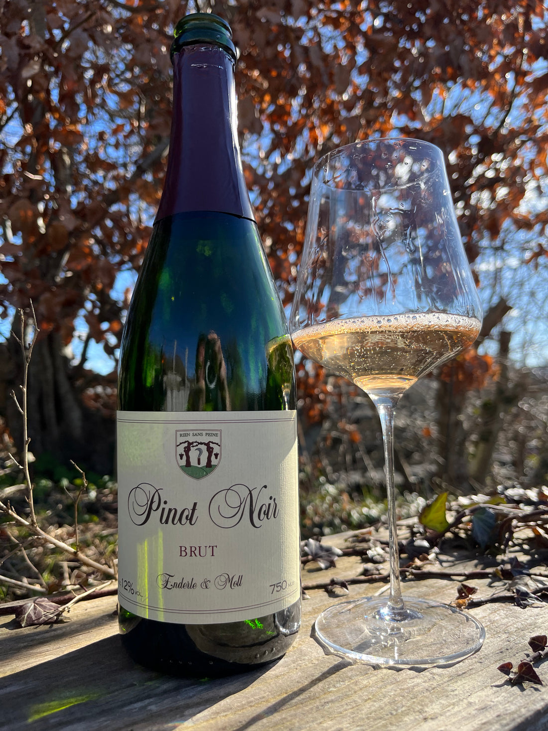 Enderle & Moll Pinot Noir - Brut - 2022