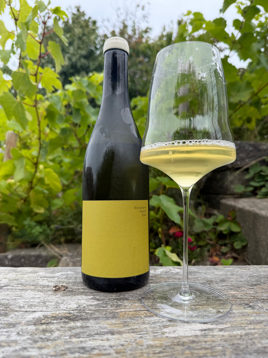 Domaine Hoffmann-Demangeot - Bourgogne Aligoté 2023