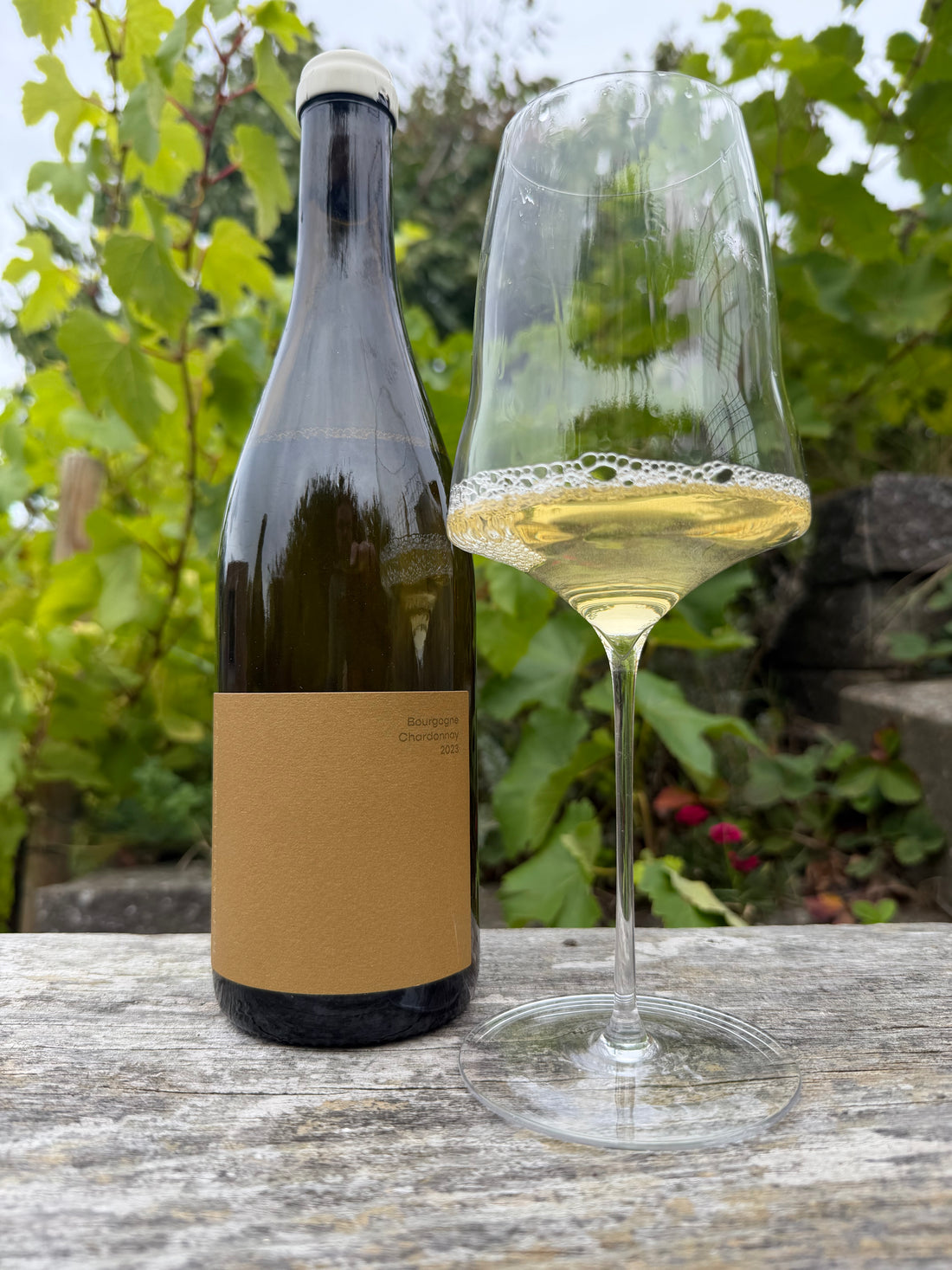 Domaine Hoffmann-Demangeot - Bourgogne Chardonnay 2023
