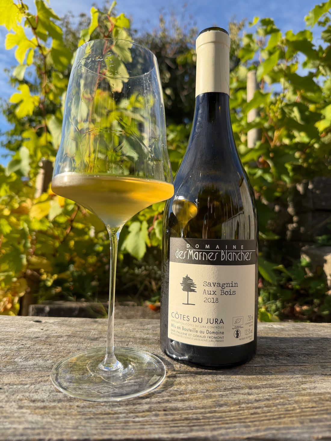 Domaine des Marnes Blanches - Savagnin Aux Bois 2023