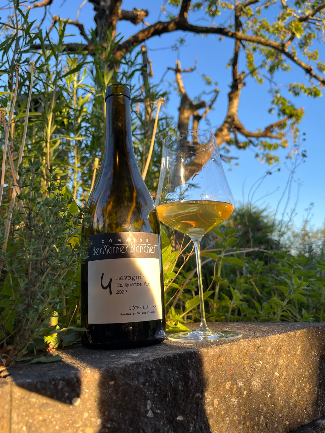 Domaine des Marnes Blanches - Savagnin En Quatre Vis 2025