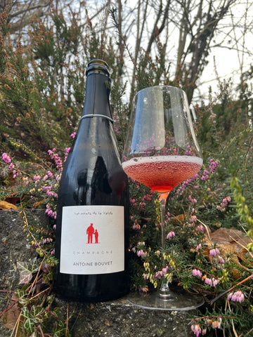 Antoine Bouvet Les Monts de la Vallée Rosé 2020/2021 - Extra Brut