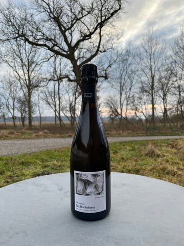 Etienne Calsac Les Rocheforts (Base 2022) – Blanc de Blancs - Extra Brut