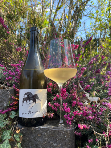 Philip Lardot Der Narre Pinot Blanc 2023