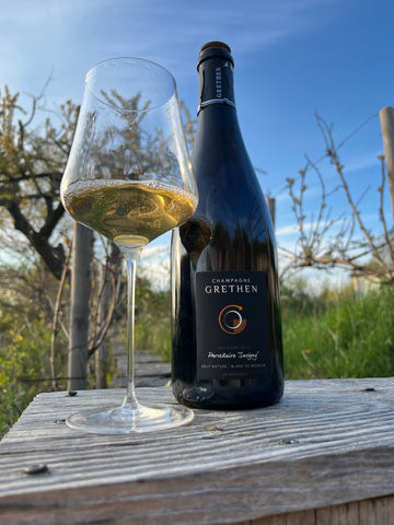 Antoine Grethen Parcellaire Savigny 2019 - Blanc de Meunier - Brut Nature