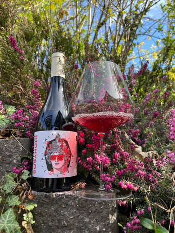 Domaine des Marnes Blanches – Dionysos is on Fire 2023