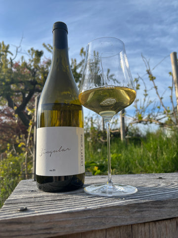 Philip Lardot Riesling - Singular n.01 - 2022