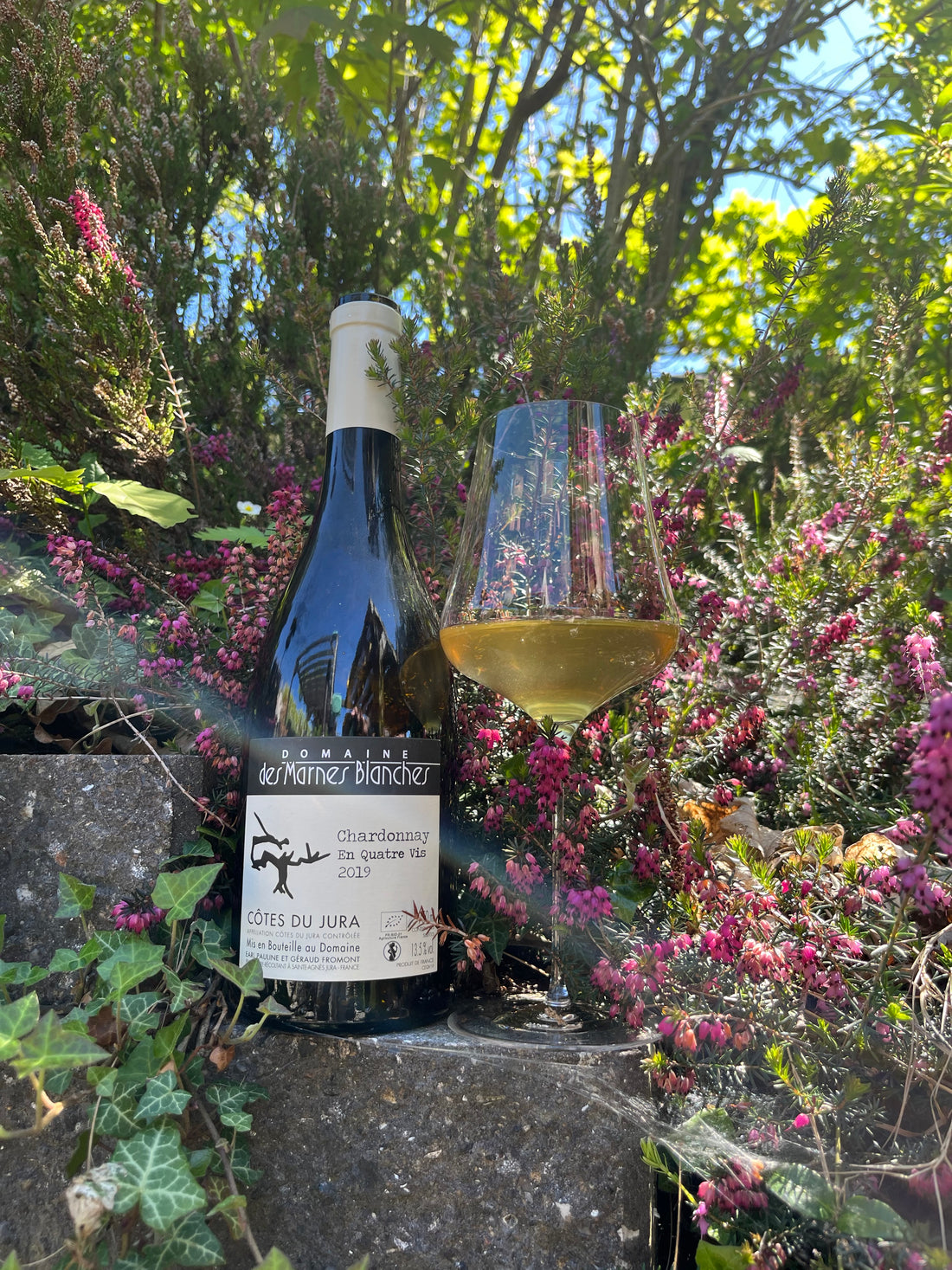 Domaine des Marnes Blanches - Chardonnay En Quatre Vis 2023