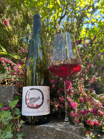 Christophe Lindenlaub - Pinot Noir - À Pas de Velours 2023