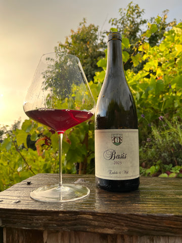 Enderle & Moll Pinot Noir 2023