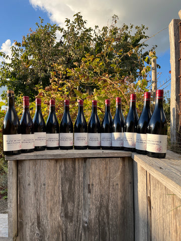 Weingut Bertram-Baltes - Smagekasse 6 flasker (+1 gratis flaske) - Topcuvée - Spätburgunder 2023