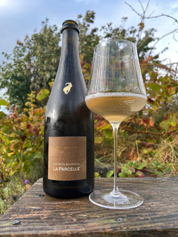 Chevreux Bournazel - La Parcelle - Connigis 2020
