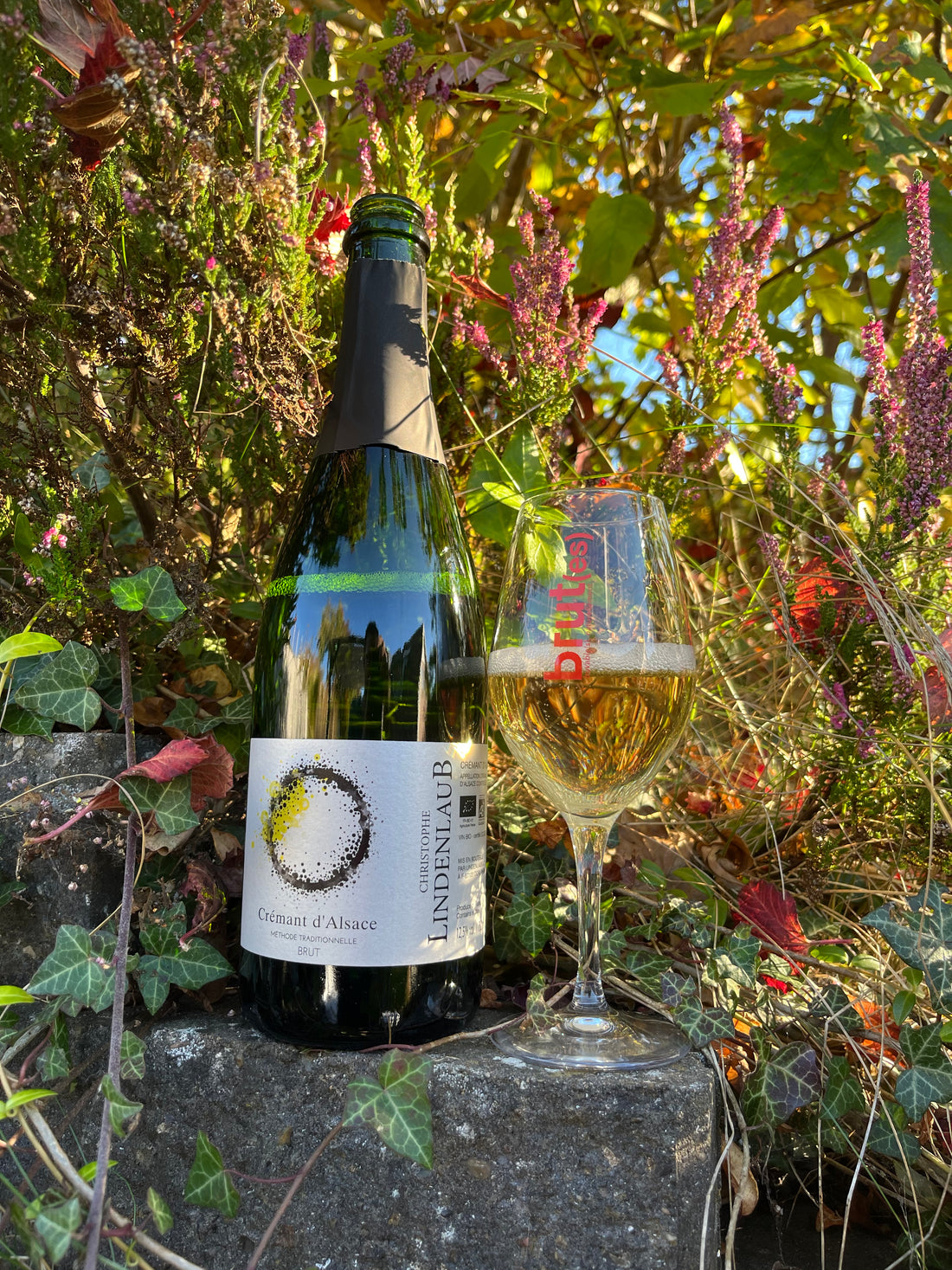 Christophe Lindenlaub Crémant d’Alsace 2023
