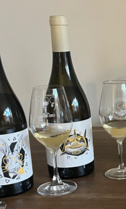 Domaine des Marnes Blanches – Shark Vador 2024