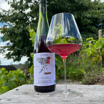 Yann Durrmann – Pinot Noir - Rouge Gorge – Cuvée Nature 2024